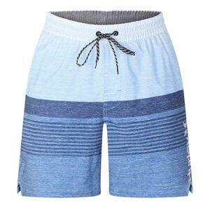 Hurley Mens Colour Block Relaxed Fit Board Shorts / Aquifer